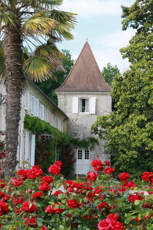 Chateau de Puyrigaud Bed & Breakfast Léoville Exterior foto